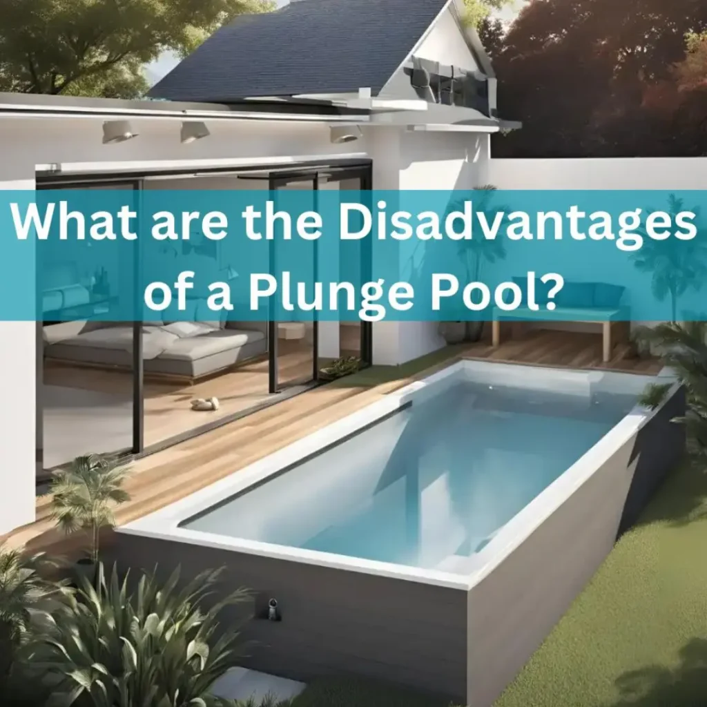 What are the Disadvantages of a Plunge Pool