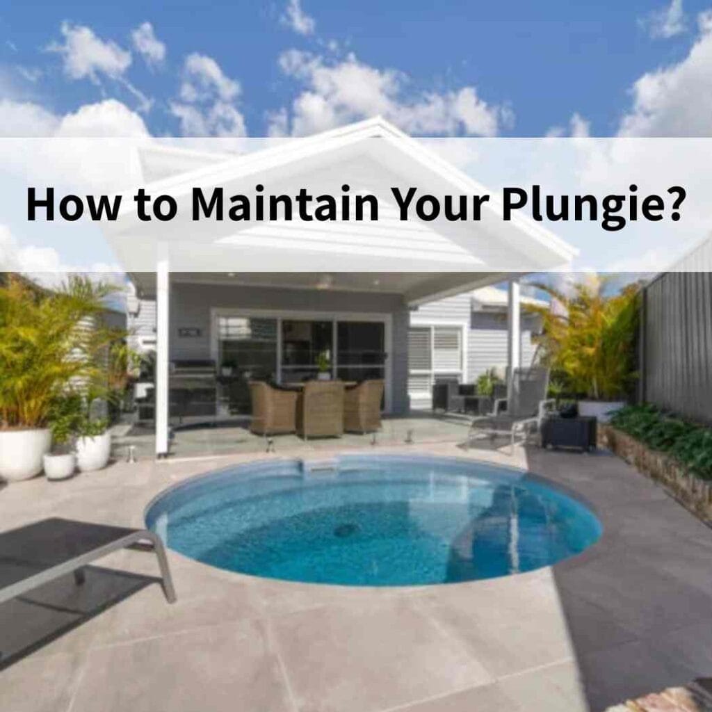 How to Maintain Your Plungie?