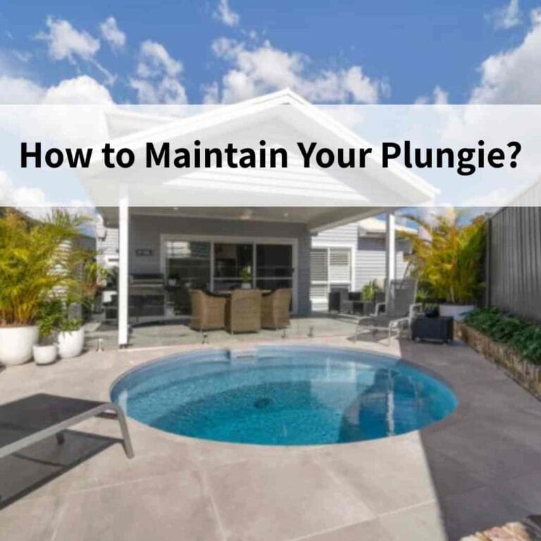 How to Maintain Your Plungie?